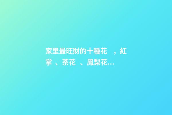 家里最旺財的十種花，紅掌、茶花、鳳梨花等
